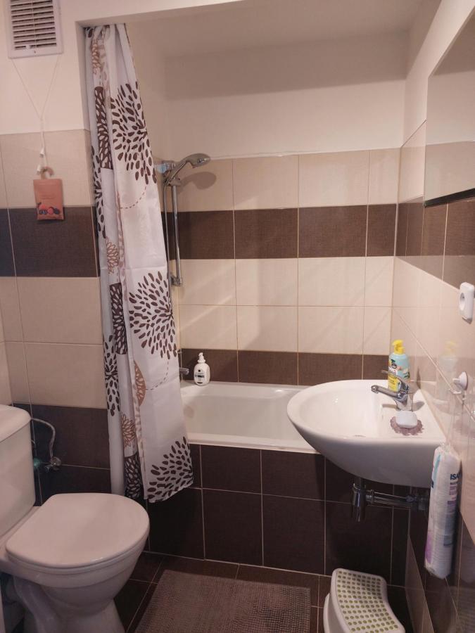 Apartman V Podhuri Krusnych Hor Sokolov Kültér fotó