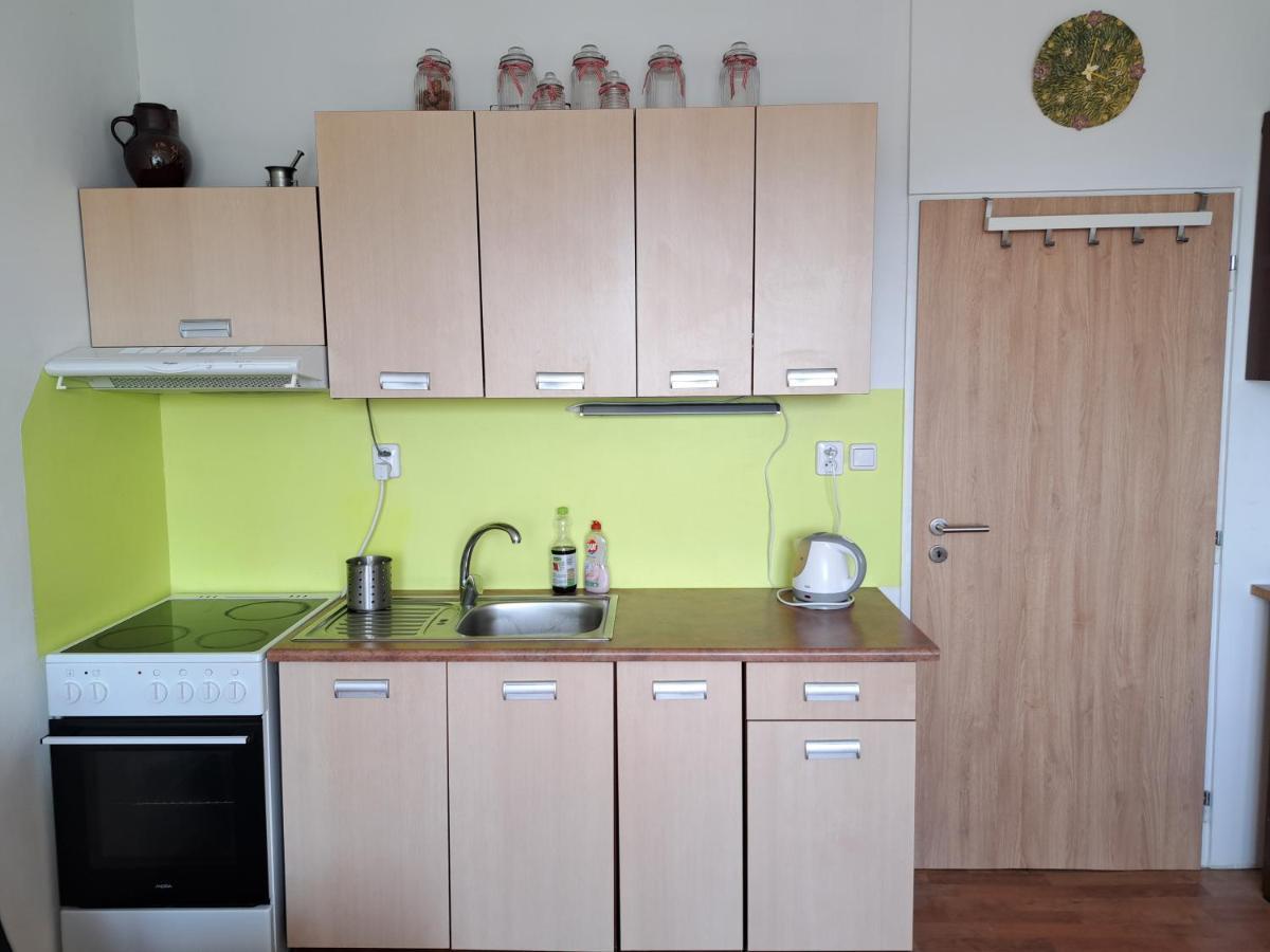 Apartman V Podhuri Krusnych Hor Sokolov Kültér fotó